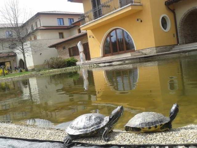 Terraço