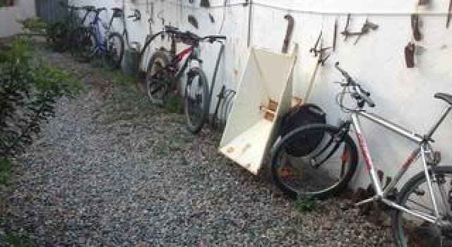 Desportos y Entretenimento