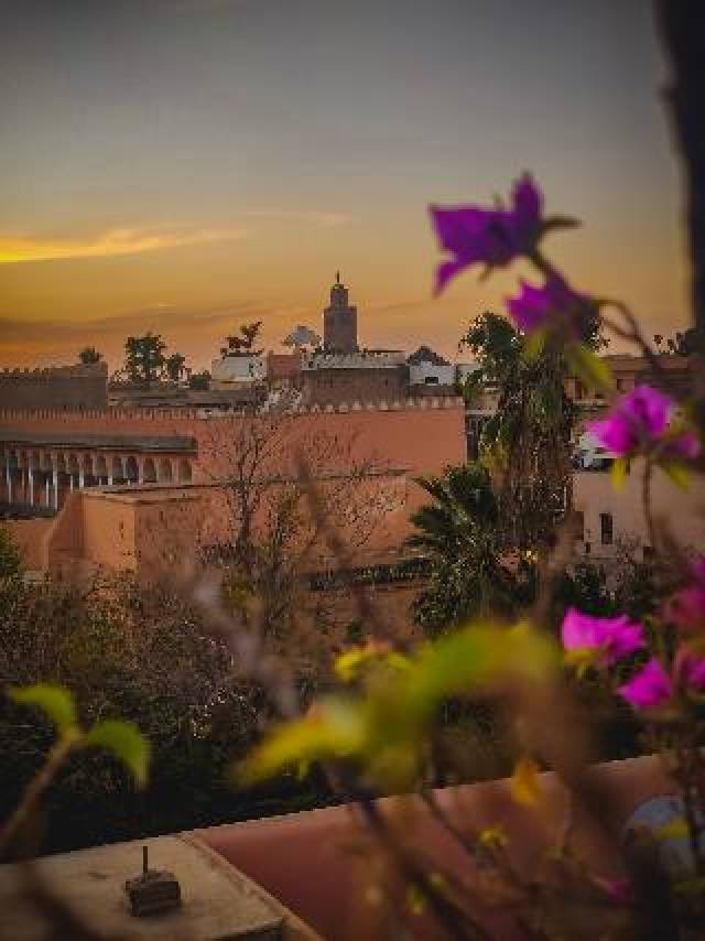 Terraço