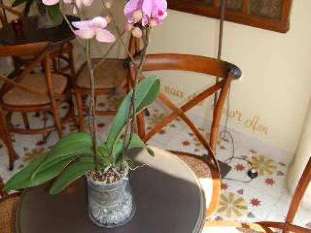 Vista General