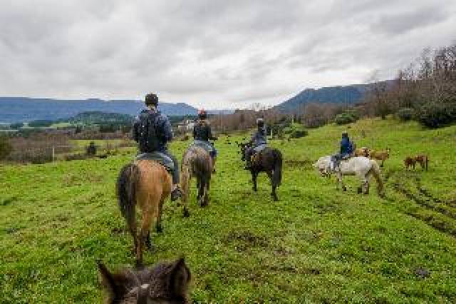 Desportos y Entretenimento