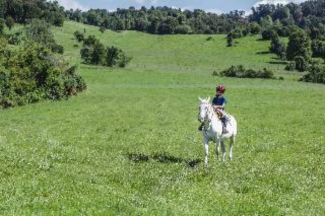 Desportos y Entretenimento
