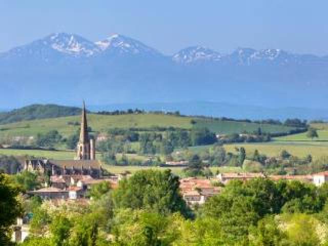 Vista General