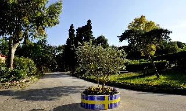 Vista General