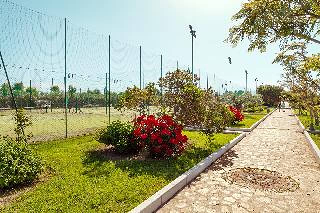 Desportos y Entretenimento