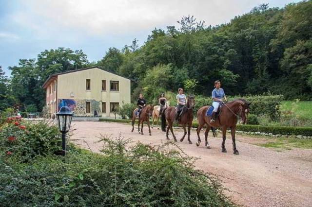 Desportos y Entretenimento