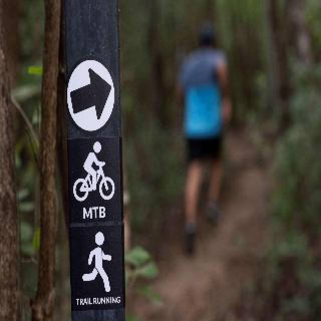 Desportos y Entretenimento