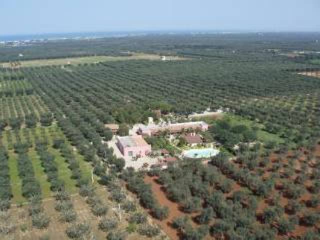 Vista General