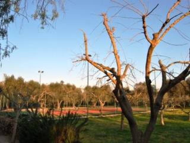 Vista General