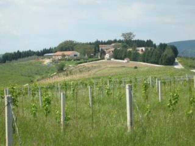 Vista General