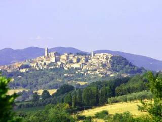 Vista General