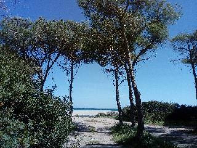 Praia