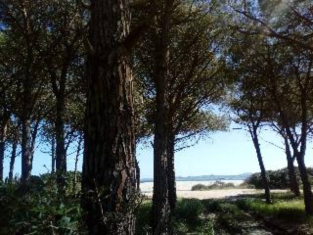 Praia