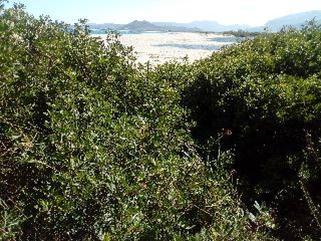 Praia