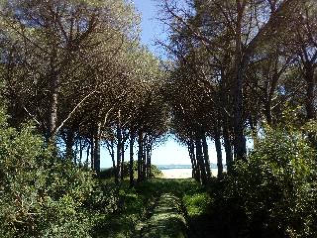 Praia