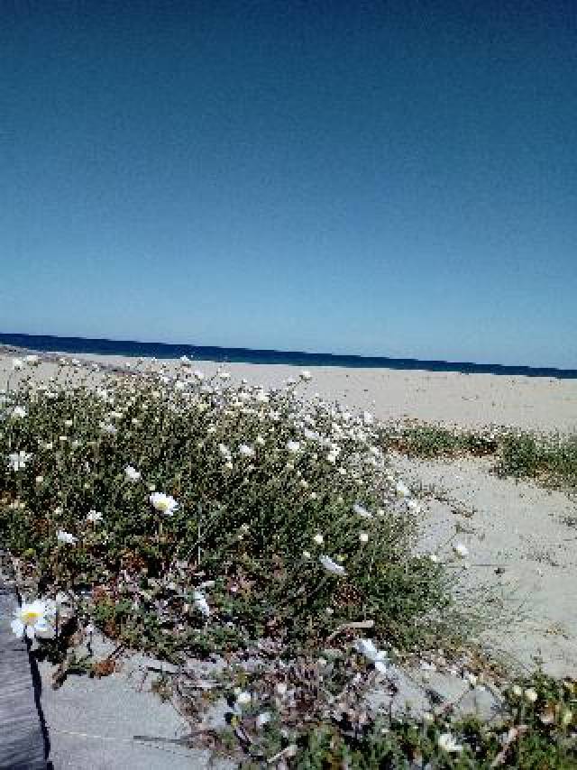 Praia