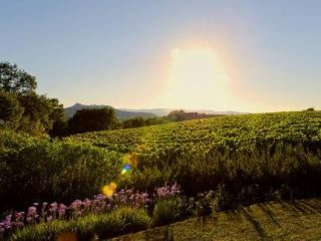 Vista General