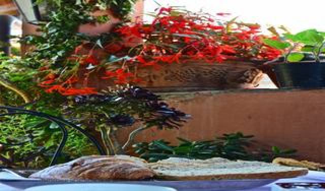 Terraço