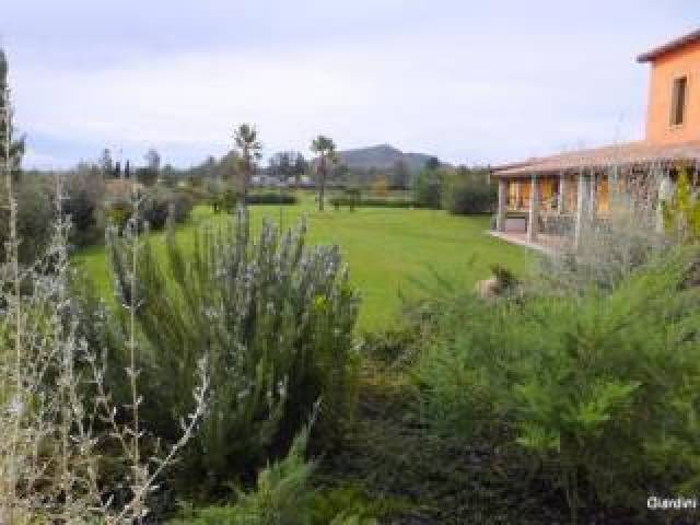 Vista General