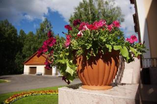Vista General