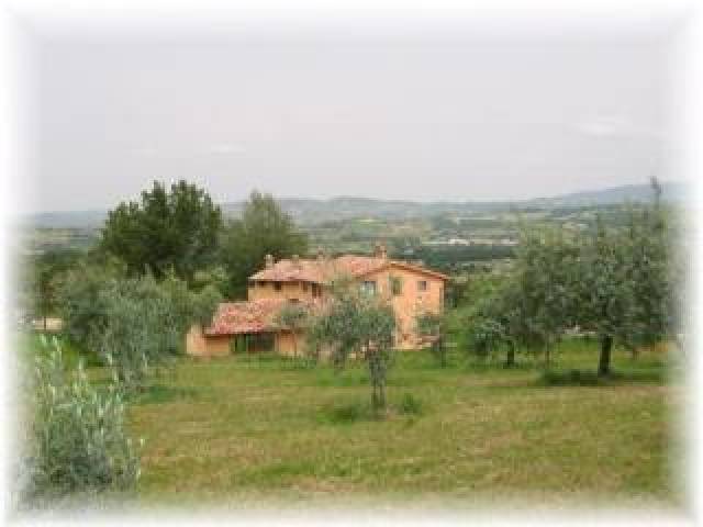 Vista General