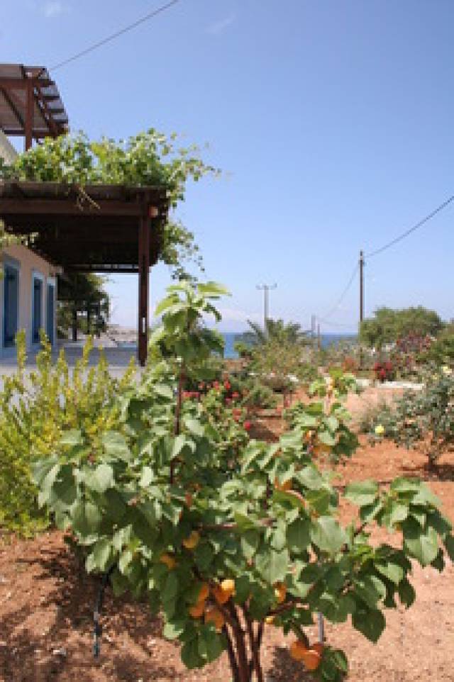 Terraço
