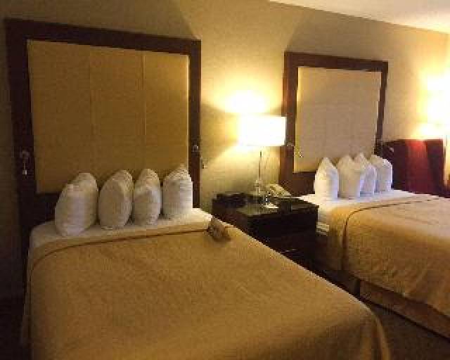 Quarto