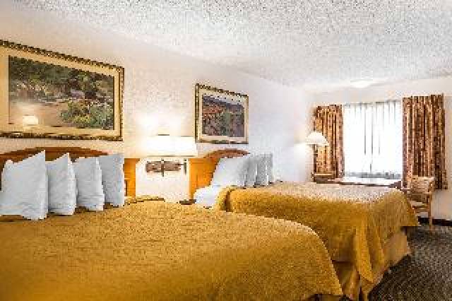 Quarto