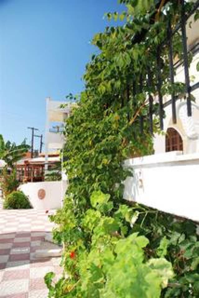 Vista General