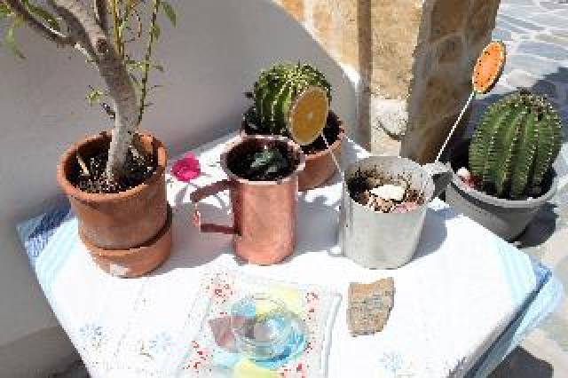 Terraço