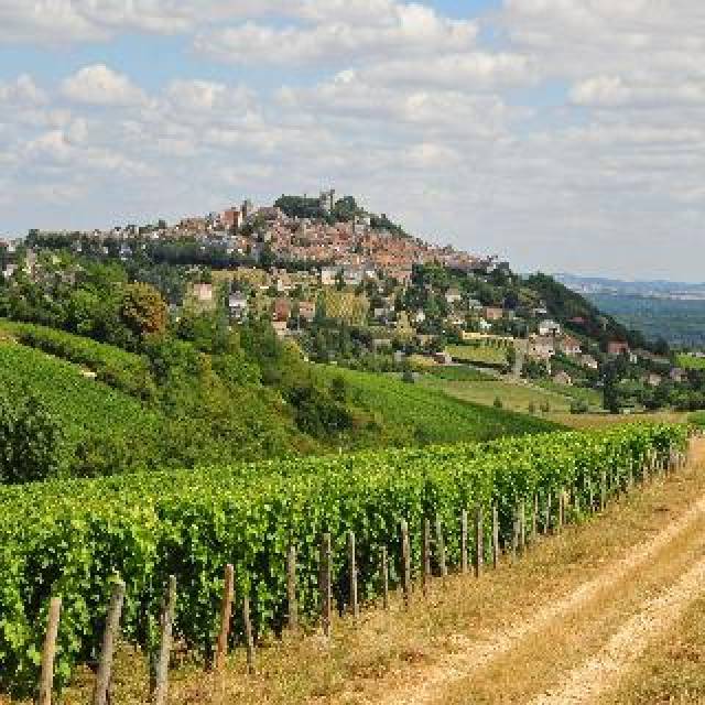 Vista General