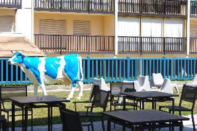 Terraço