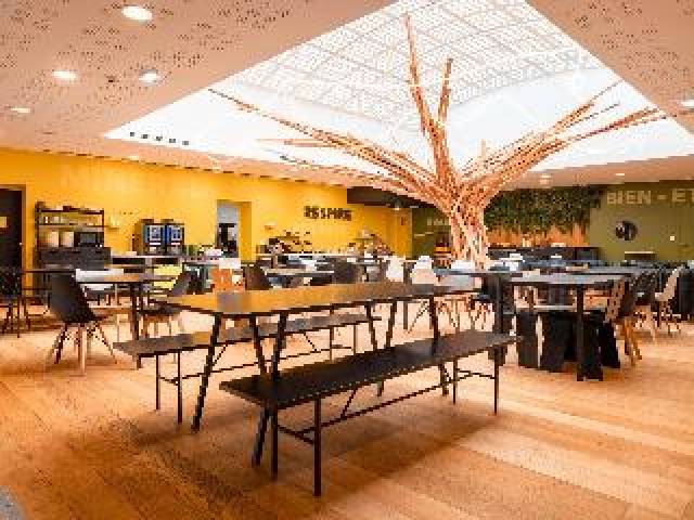 Vista General
