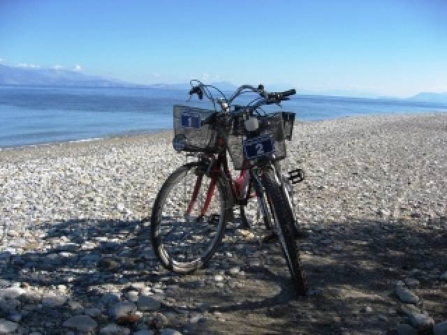 Desportos y Entretenimento