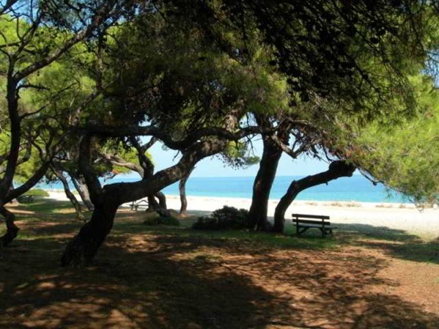 Praia