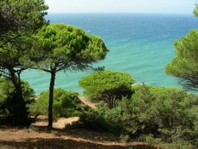 Praia