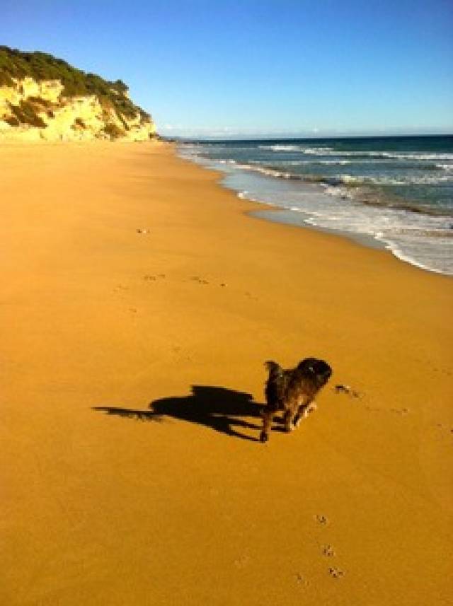 Praia