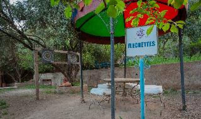Desportos y Entretenimento