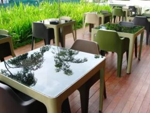 Terraço