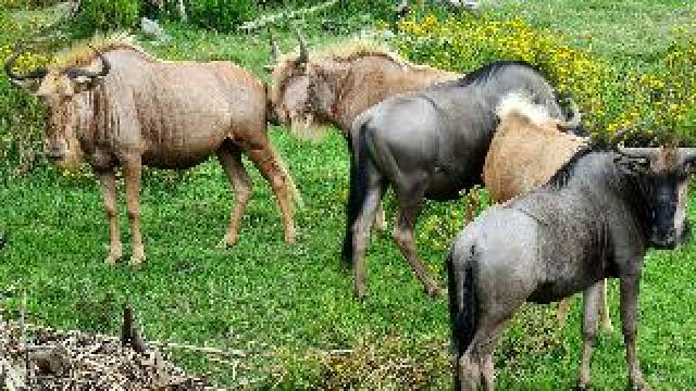 Desportos y Entretenimento