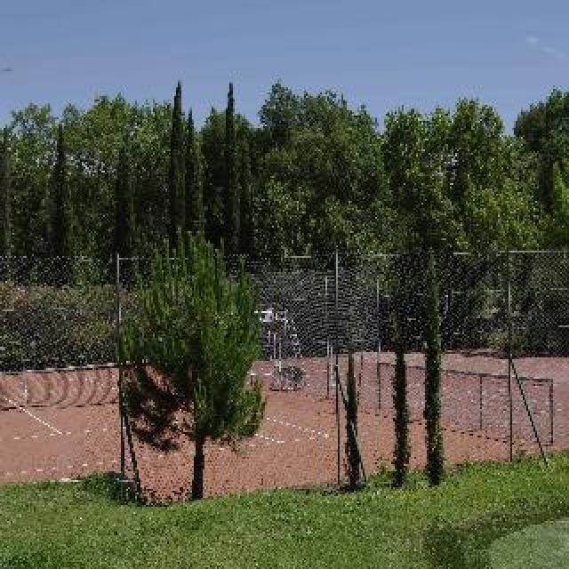 Desportos y Entretenimento