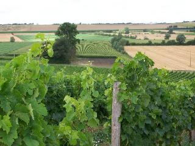 Vista General