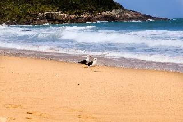 Praia