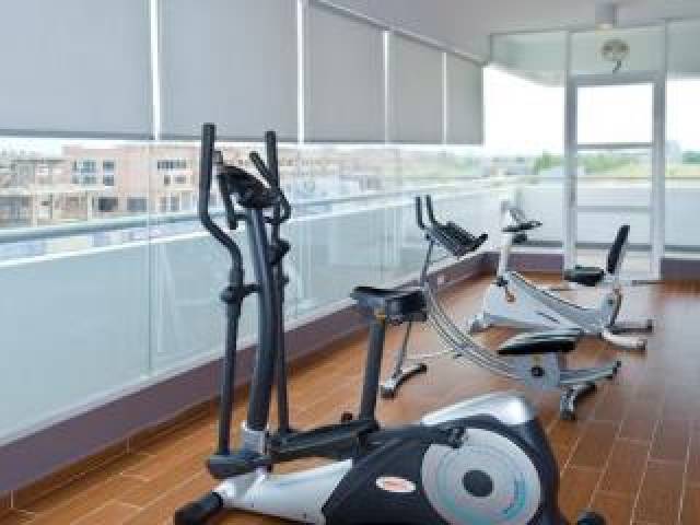 Desportos y Entretenimento