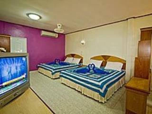 Quarto