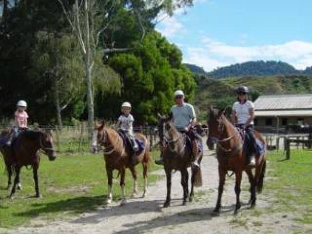 Desportos y Entretenimento