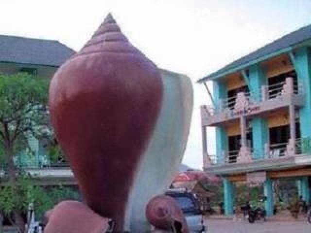Vista General