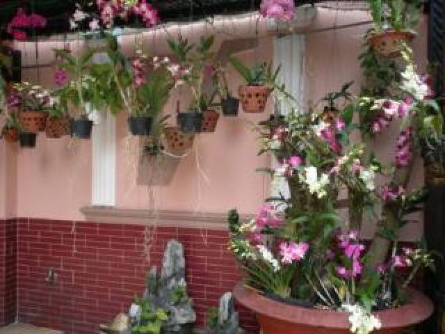 Terraço