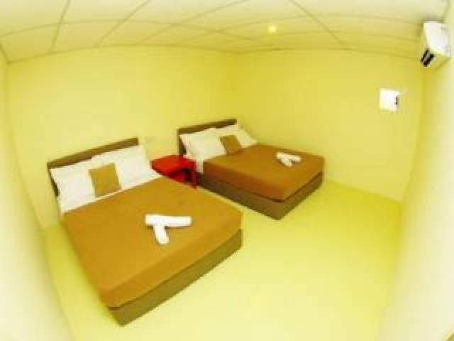 Quarto