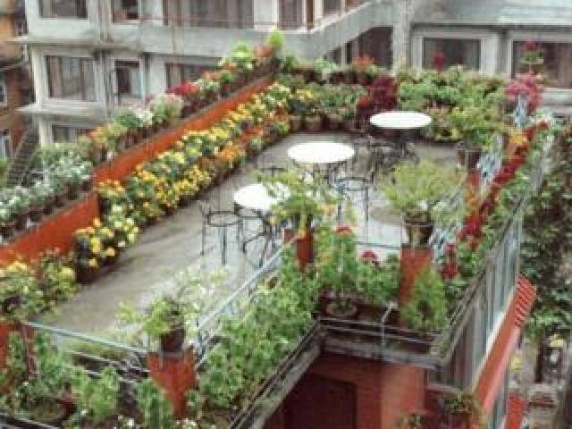 Terraço